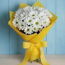 Букет цветов из:  Хризантемы в Гофицком