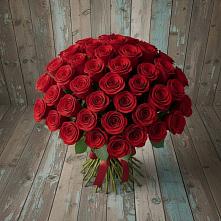 Букет 55 Красных роз Фридом #REPLACE_PRED# Гофицком