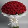 Букет 101 Красная роза Блэк Мэджик в Гофицком