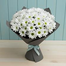 Букет цветов из:  Хризантемы в Гофицком