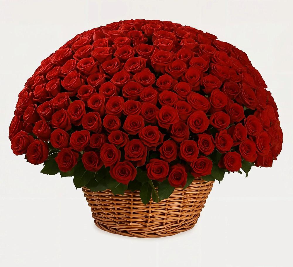 Премиум букет из: Розы в Гофицком