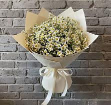 Букет цветов из:  Ромашки в Гофицком