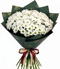 Букет цветов из:  Хризантемы в Гофицком