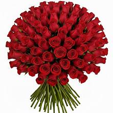 Букет Красные розы Чери Лав в Гофицком
