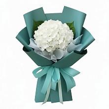 Букет цветов из:  Гортензия в Гофицком